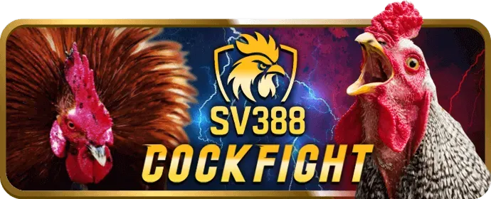Ưu đãi hoàn trả hàng tuần HI88
